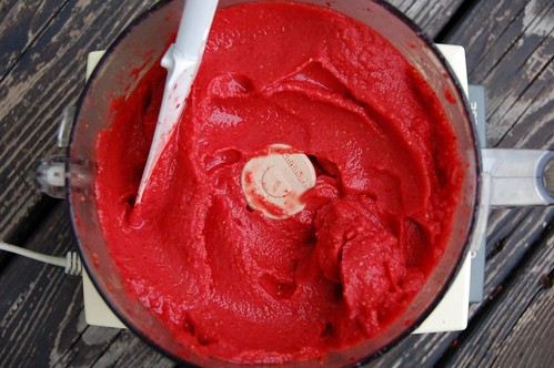 Blending the wild wineberry sorbet by Eve Fox, the Garden of Eating, copyright 2014