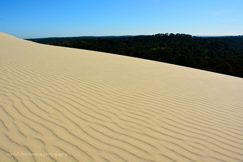 france sand dune sable sud arcachon pyla gascogne gironde