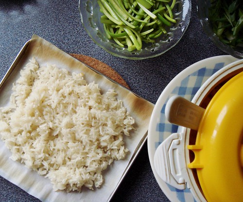 Bibimbap: Toasted Crispy Rice
