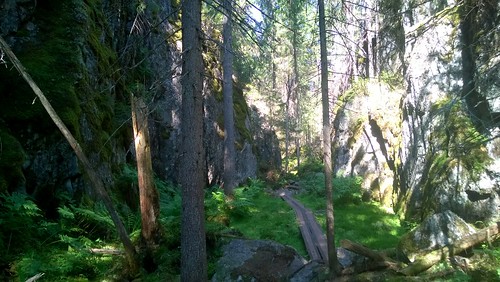 nature finland trail pureview orinoro lumia920