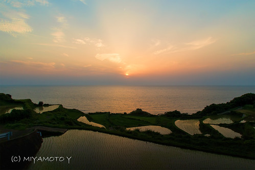 sunset japan island kyushu riceterrace nagasakipref