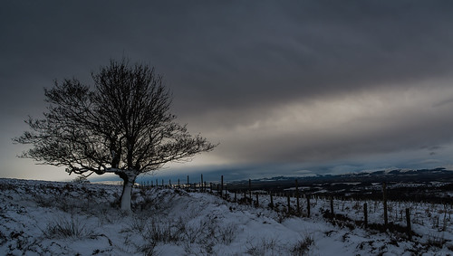 ngc alone nikon d5200 light clouds tree sunset snow walk leaves scotland nature landscape moment perfect wall uk united kingdom