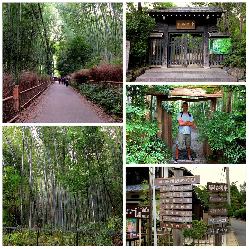 Bosque Bambu Arashiyama