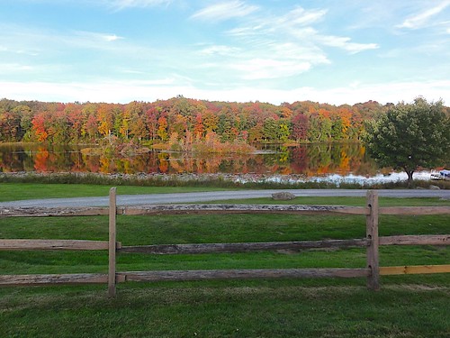 autumn fall colors leaves pond view foliage catskills