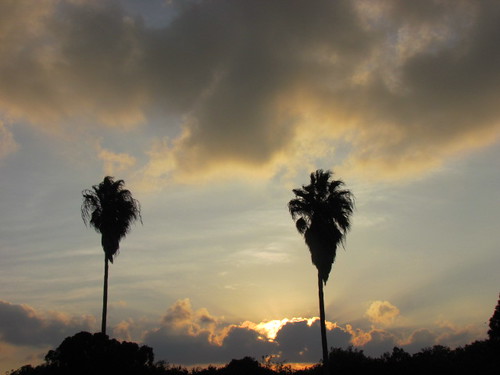 sunset sky color nature beauty texas cloudy palmtrees blueskies heavens riverbend