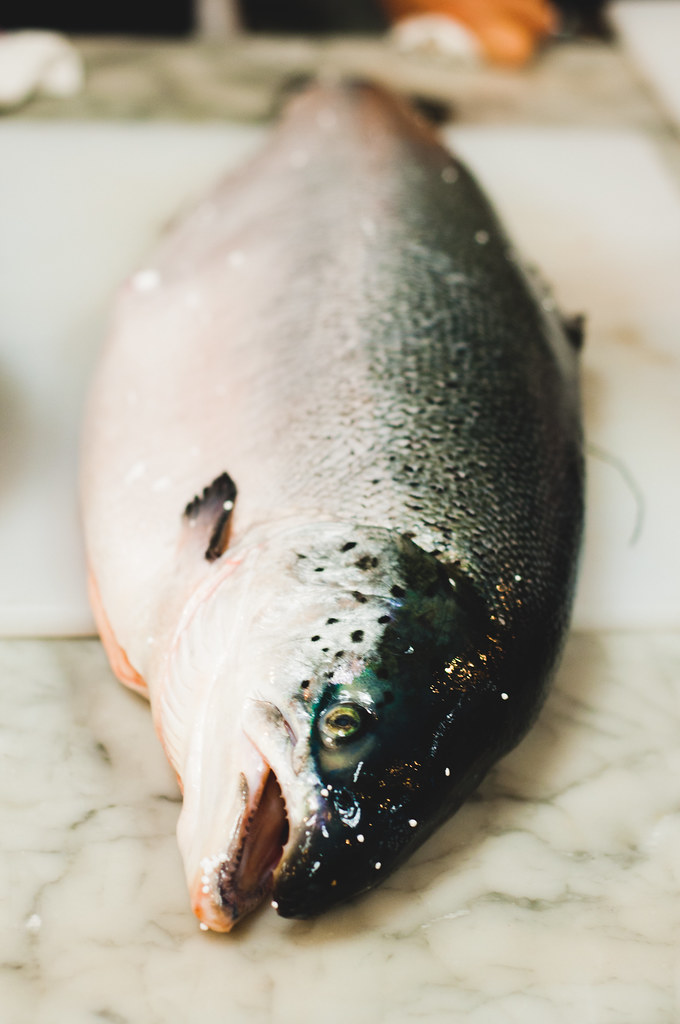 Norwegian Farmed Salmon