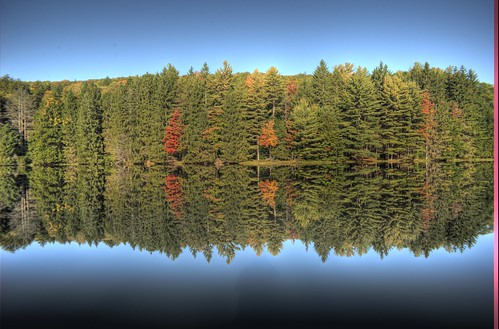 Adirondack fall foliage