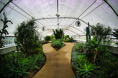 Birdhaven Greenhouse