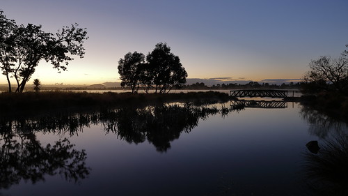 ballarat victoria australia lakewendouree water bridge dawn dawnreflections trees