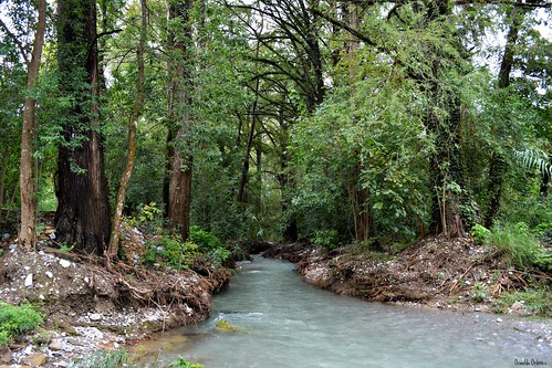 santiago naturaleza nature méxico río agua árboles natura arroyo nuevoleón orcoo santiagonuevoleon oswaldoordóñez lascristalinas