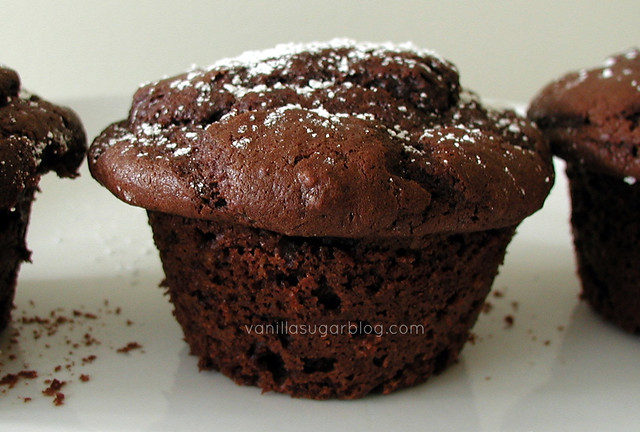 Double Choco Muffins 1 11-17-2008 7-02-36 PM 2048x1536