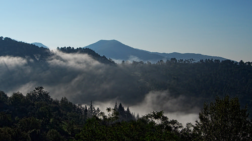 morning trees italy mist misty forest hills ridge ridgeline valleys laspezia meredo duncancunningham ilobsterit