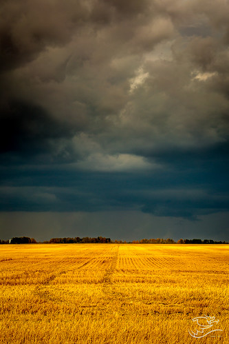 autumn trees sky canada storm clouds landscape farm harvest 124 alberta drewmayphotography