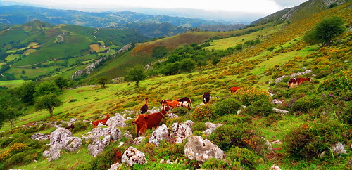 naturaleza mountain nature landscape asturias paisaje mountaineering montaña asturies montañismo laviana peñamayor principadodeasturias principaudasturies altonalón sx50hscanon