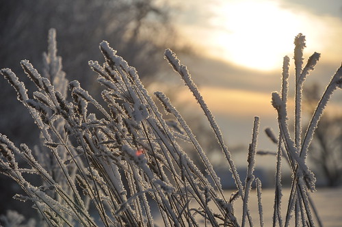 winter snow landscape dawn nikon sweden scandinavia västerås västmanland d90