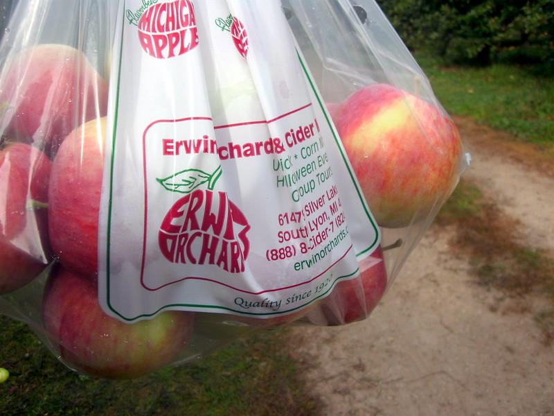 Erwin Orchard Picking