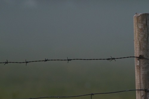 mist fog mystery canon fence dark landscape 7d imagination wondering rc 2014 mornig fridom fotoroar2013
