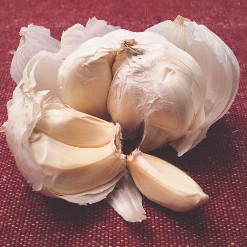 7. g is for... glorious gastronomic garlic! #fmsphotoaday #littlemomentsapp