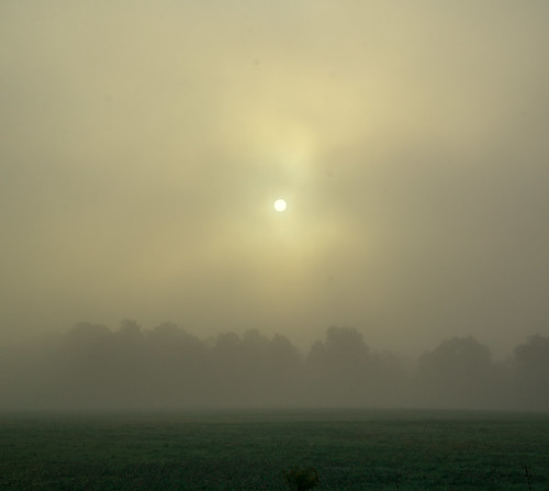 morning mist fog sunrise horizon explored