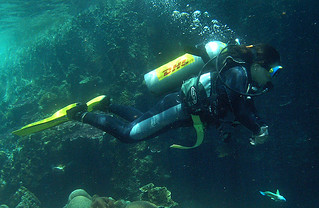 <img src="padi-diving-pirate-reef-tioman-island-malaysia.jpg" alt="PADI diving, Pirate Reef, Tioman Island, Malaysia" />