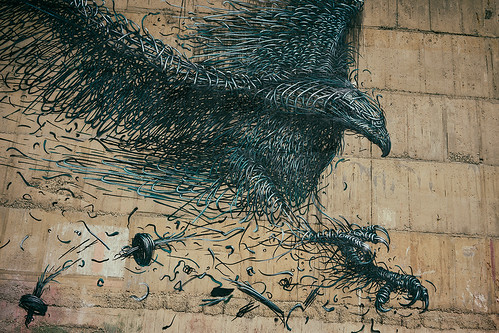 street newzealand streetart bird art wall dunedin daleast