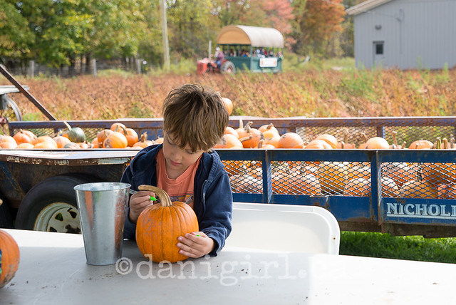 A 10 photo essay on pumpkin smashing