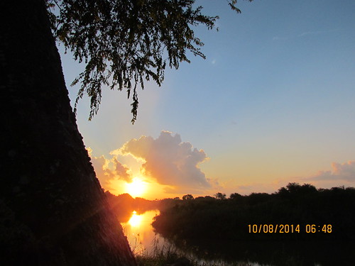sun tree nature water beauty clouds sunrise river texas cloudy palmtrees riverbend