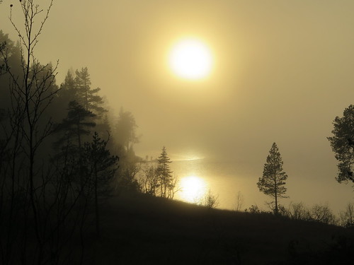 img0424 norge norway orkdal fjellkjøsvatnet kveldsol eveningsun fog tåke sooc