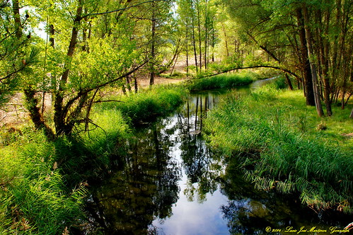 trees españa rio river landscape spain europa europe arboles ngc paisaje cuenca lamancha castillalamancha luciojosemartinezgonzalez