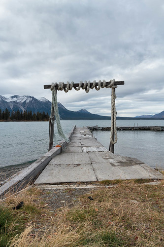 wood old lake canada history water beauty landscape outside dock britishcolumbia decay north rope wharf northern past northernbc atlin northernbritishcolumbia atlinlake canon7d atlinbay