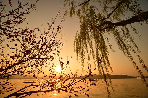 china hangzhou west lake sunset sonnenuntergang boat spring japanaese cherry blossoms willow japanische kirsche boot frühling 中国 杭州 西湖 西湖风景区 ©allrightsreserved