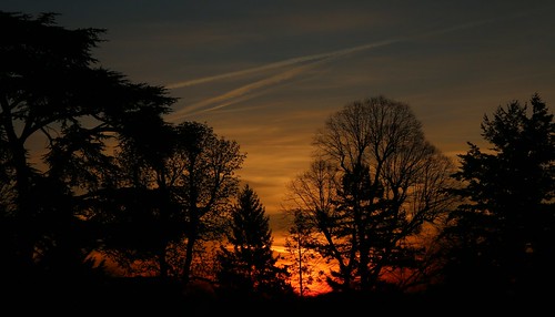 stgermainenlaye paris france outdoor sunrise trees silhouette sky orange