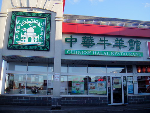 Chinese Halal Restaurant | stenoodie