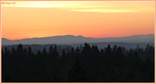 trees sunset nature colors canon washington twilight dusk hills layers graham southtacoma picmonkey:app=editor meaimages