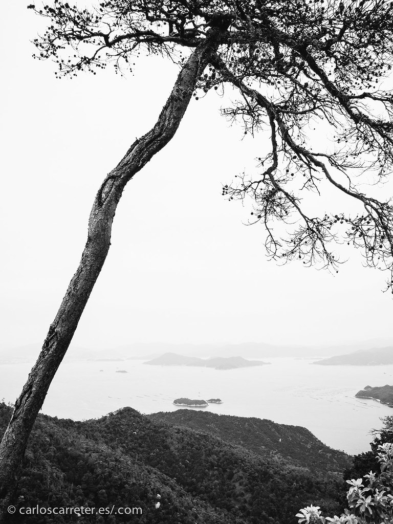 Isla de Miyajima (Itsukushima)