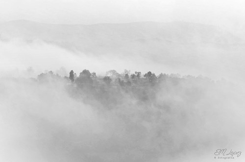 naturaleza blancoynegro clouds landscape monocromo blackwhite andalucía árboles paisaje nubes árbol otoño octubre nublado landschaft niebla nube jaén bruma virado 2014 otoñal alcalálareal