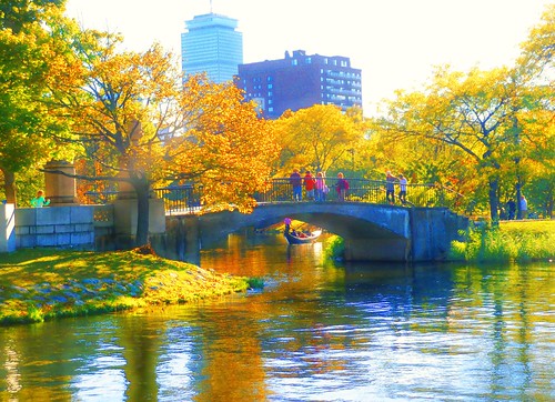 city autumn color colour fall nature water colors leaves boston skyline river landscape geotagged ma outdoors lumix colorful cityscape colours afternoon massachusetts charlesriver newengland panasonic foliage bostonma backbay brooks brooksbos
