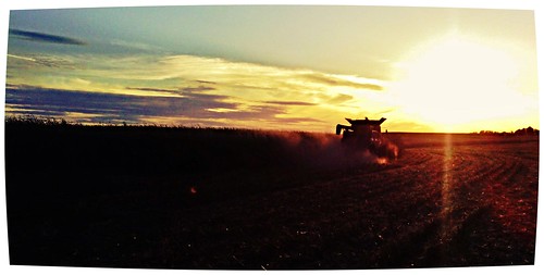 sunset sky fall sunrise illinois corn harvest combine soybeans