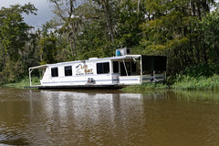 Honey Island Swamp Tours