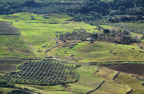 ronda malaga paisaje landscape country countryside field campo rural verde green color luz light
