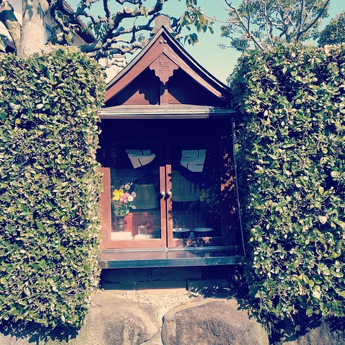hedge shrine