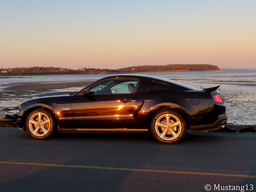 sunset horse hot ford novascotia shine fast mustang 50