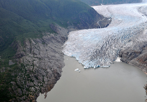 The massive Mendenhall Glacier in Alaska's Tongass National Forest is rapidly retreating. In this photo a developing forest can be seen above the glacier illustrating how the Mendenhall landscape is being dramatically altered by climate change. (Photo courtesy of The National Science Foundation, Durelle Scott)