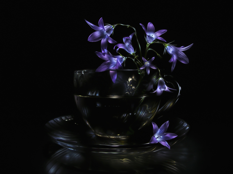 Still life light painting picture: bouquet of bluebell flowers in transparent glass cup, glowing on black background