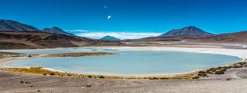 bolivia lagoon altiplano lagunahonda bolivianplateau