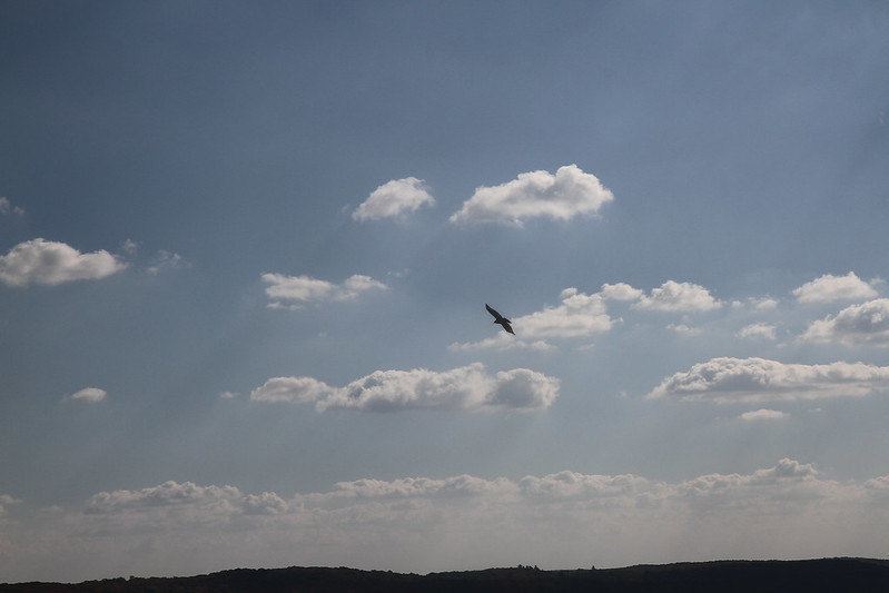 soaring over bancroft2