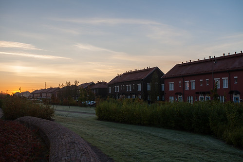 autumn grass sunrise finland frozen suburb vantaa kartanonkoski