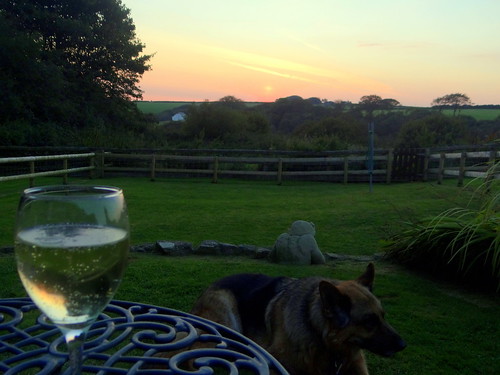 sunset dog cottage devon doc afterglow woolfardisworthy woolsery awesomeafterglow cliffordfarm