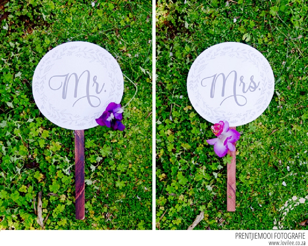 Wedding Chair & paddle signs
