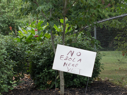 No Ebola